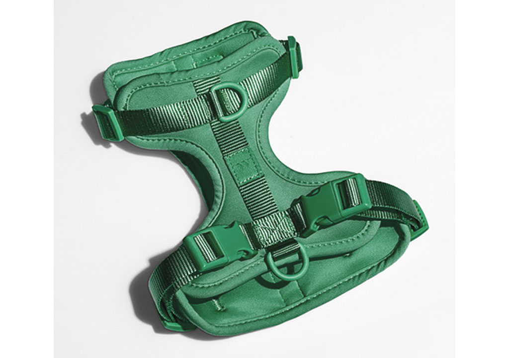 green wild one pet harness on white background