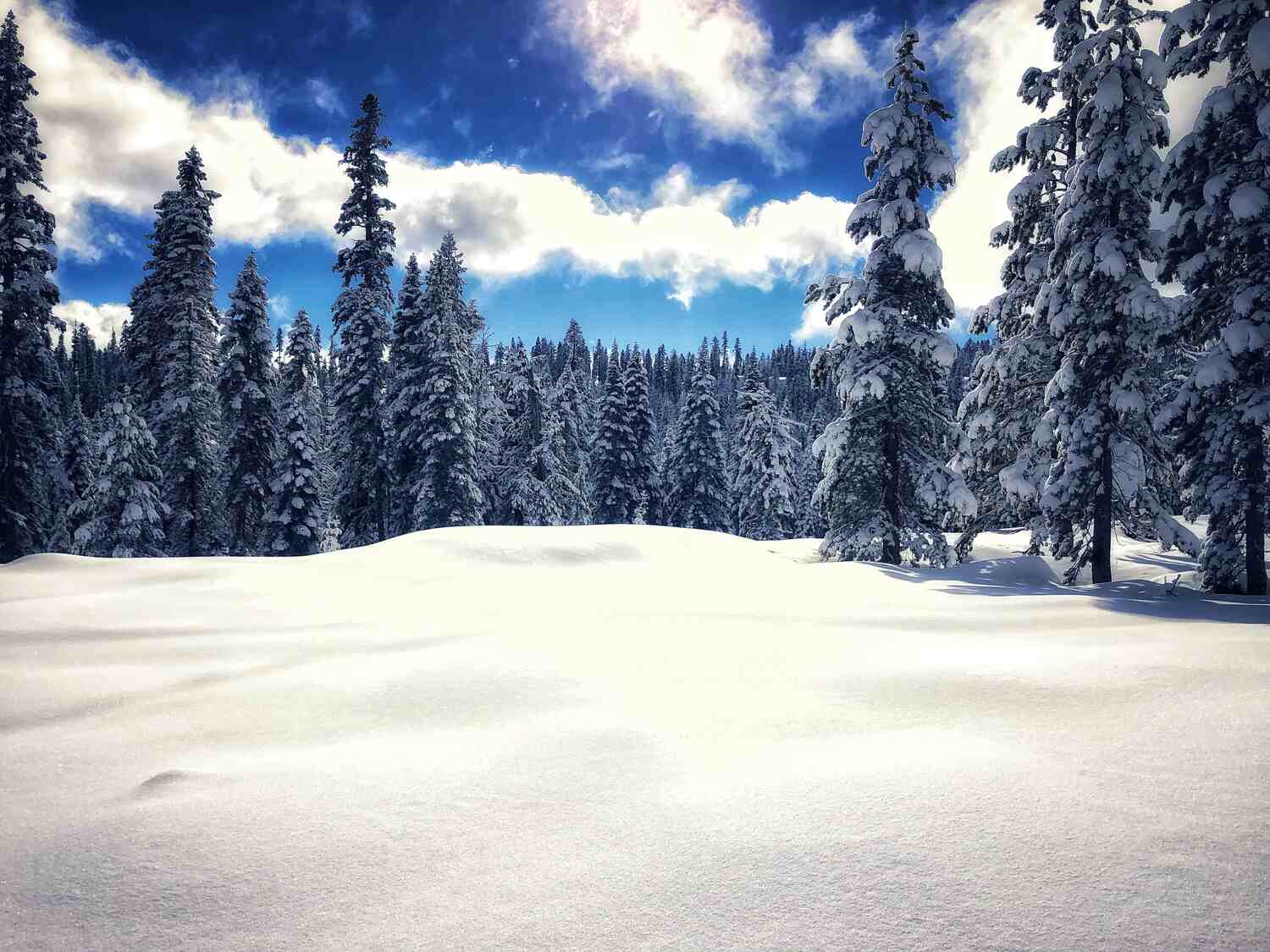 snowy lake tahoe landscape