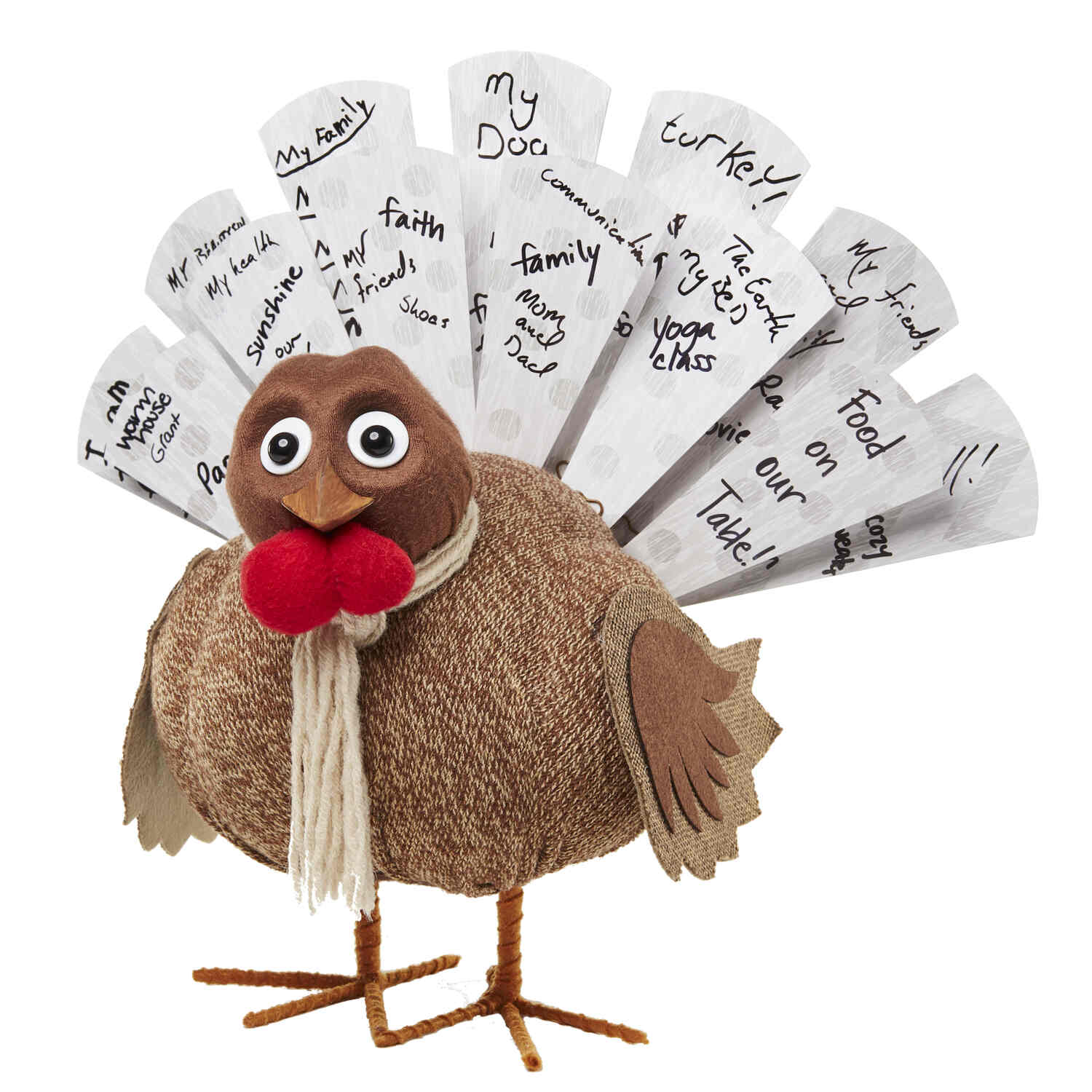 stuffed turkey with writing on tail