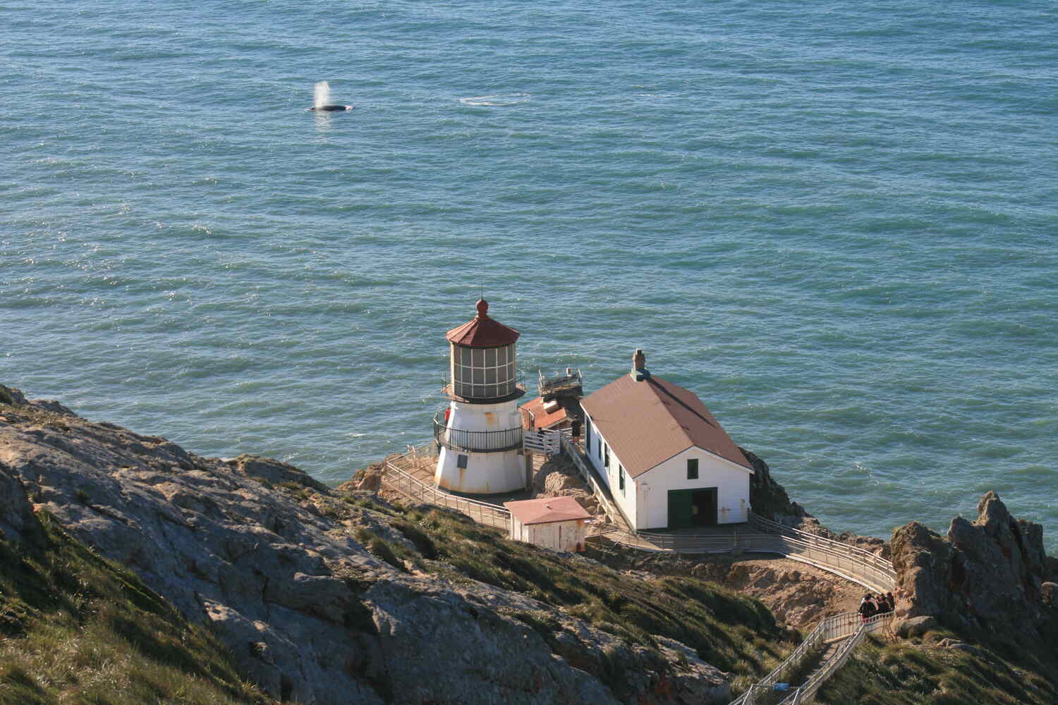 point reyes lighthouse above the water