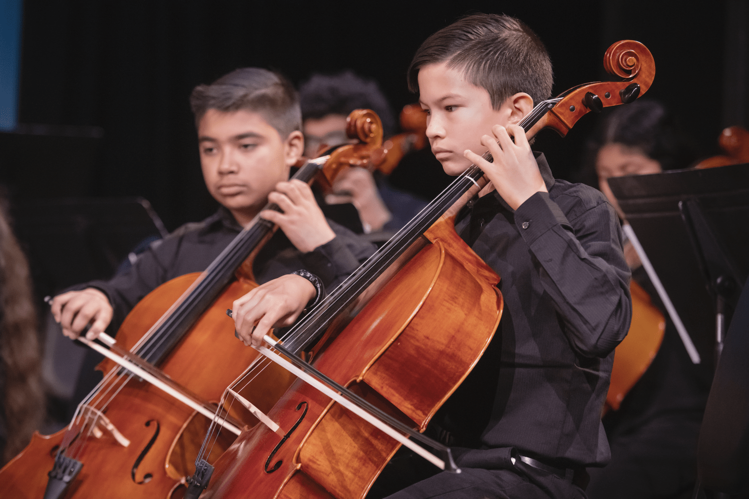 young elm students playing cellos