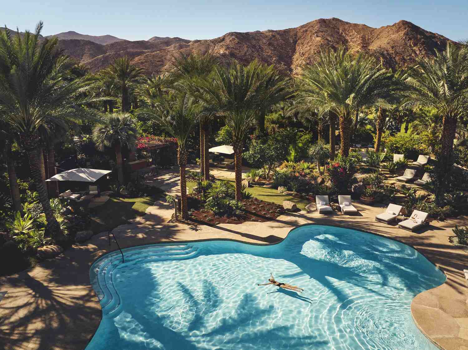 sensei porcupine creek pool surrounded by palm trees and mountains