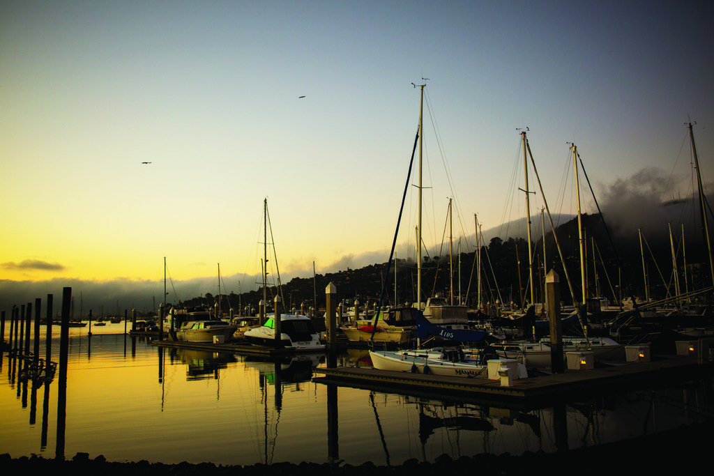 Clipper Yacht Harbor at sunset