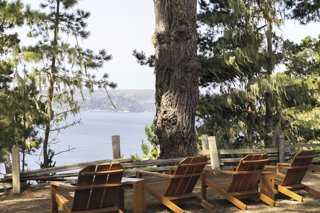 Adirondack chairs overlooking Tomales Bay