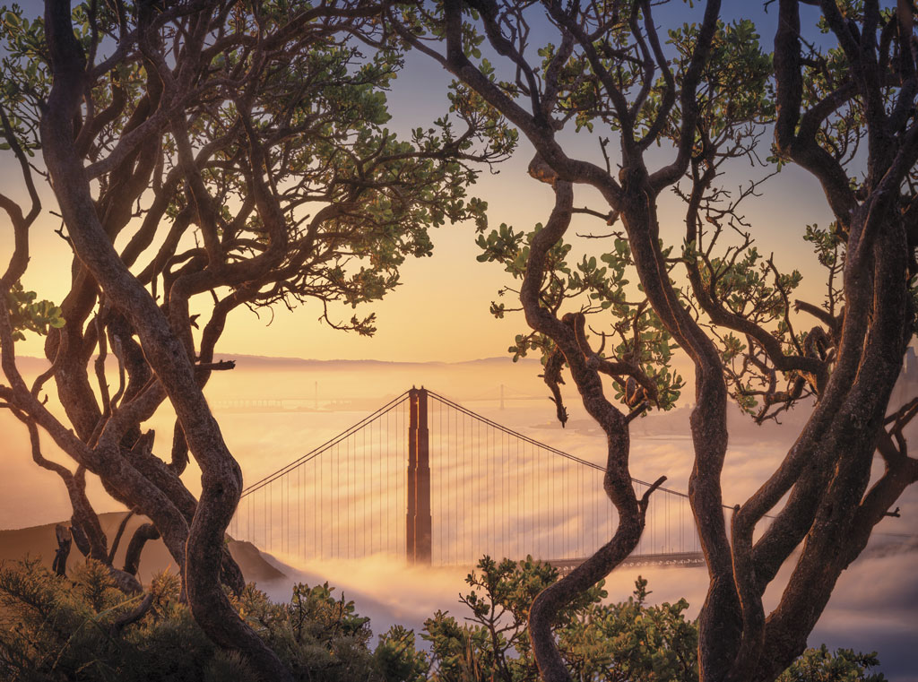 Golden Gate Bridge from Hawk Hill