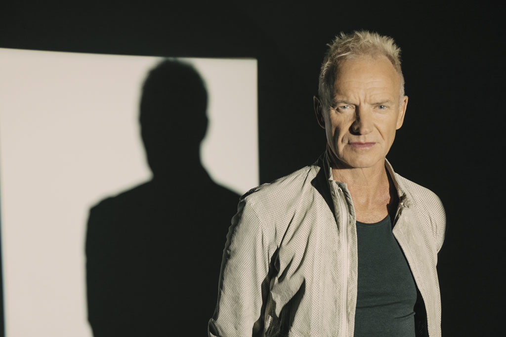a portrait of Sting