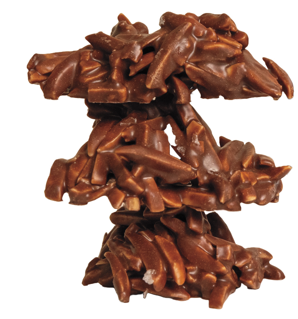 slivered almonds covered in chocolate 