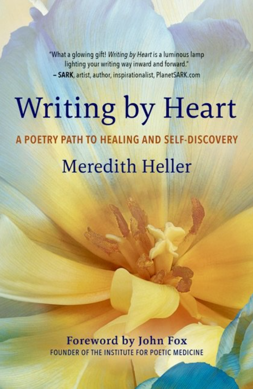 cover of Meredith Heller's book
