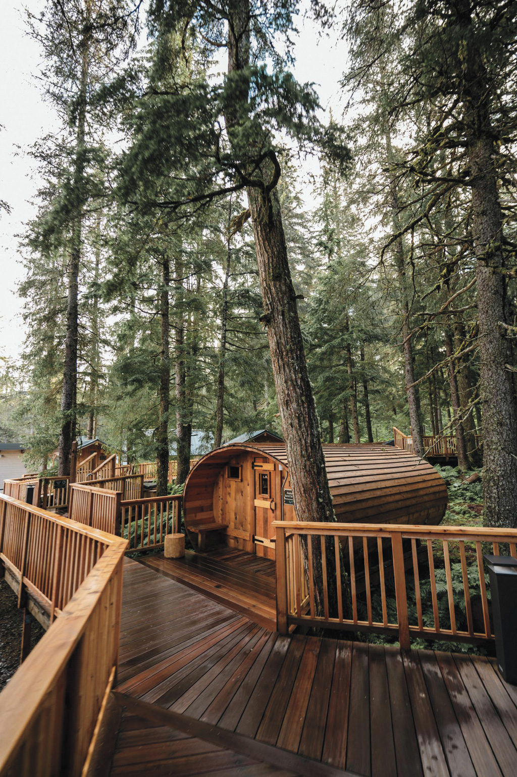 cabins in the woods